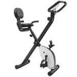 Lifespan EXER-11 Folding Exercise Bike