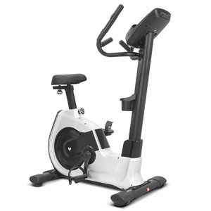 Lifespan Fitness EXC-100 Commerical Exercise Bike