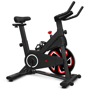 Lifespan Fitness SM-120 Spin Bike with Automatic Magnetic Resistance Lifespan Fitness SM-120 Spin Bike with Automatic Magnetic Resistance