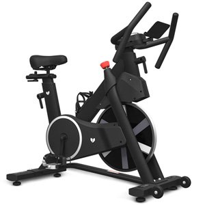 Lifespan Fitness SM-420 Spin Bike with Magnetic Resistance