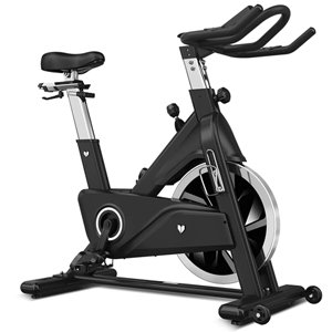 Lifespan SM-800 Commercial Magnetic Spin Bike