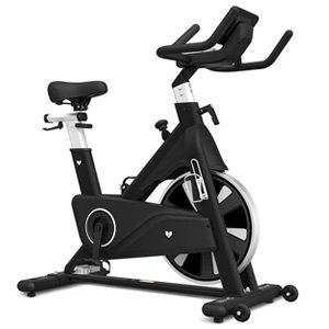 Lifespan Fitness SM-810 Commercial Spin Bike