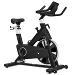 Lifespan Fitness SM-810 Commercial Spin Bike