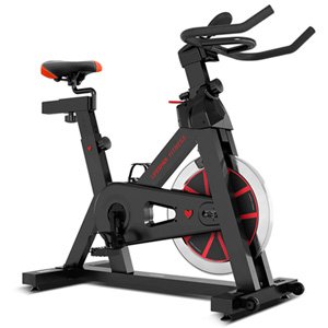 Lifespan SP-310 (M2) Spin Bike