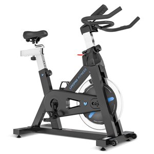 Lifespan SP-460 (M2) Spin Bike