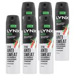 6 x Lynx 145g Antiperspirant Africa Mandarin & Sandalwood Scent