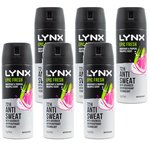6 x Lynx 165ml Antiperspirant 72h Anti Sweat Epic Fresh Grapefruit