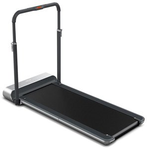WalkingPad R1 Double-Fold Walking and Running Treadmill - Silver