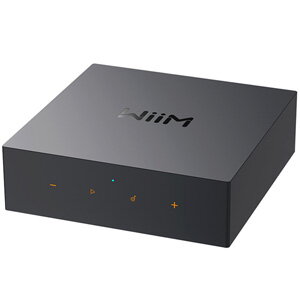 WiiM CI MOD S Audio Streamer for Custom Installation WiiM CI MOD S Audio Streamer for Custom Installation